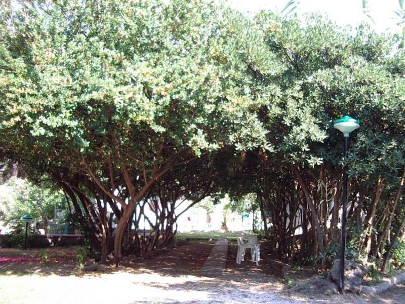 Baia Del Sole Ξενοδοχείο Πέστουμ Εξωτερικό φωτογραφία