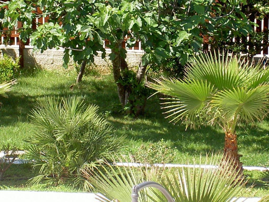 Baia Del Sole Ξενοδοχείο Πέστουμ Εξωτερικό φωτογραφία